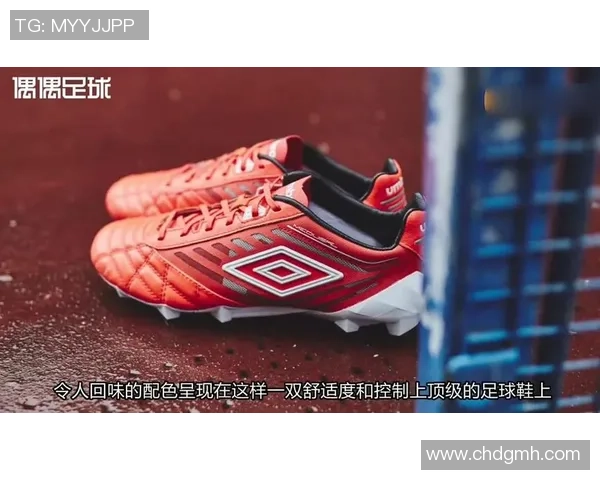 足球明星款限量红酒闪耀登场品味与激情的完美结合 足球明星款限量红酒闪耀登场品味与激情的完美结合